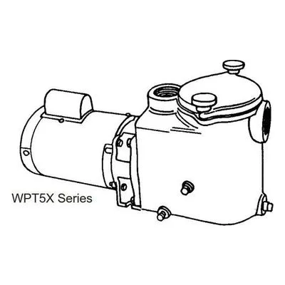 Burks 10WPT5X WPT Series Self Priming Pump 1 HP