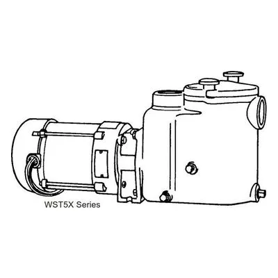 Burks 30WPT5AX-AI WST Series Self Priming Pump 3 HP