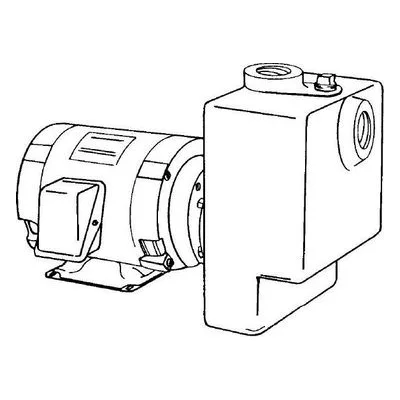 Burks 3100WG6-2 WG6 Series Self Priming Pump 10 HP